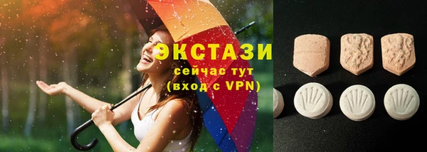 крисы Бородино