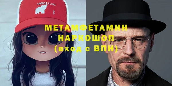 крисы Бородино