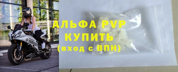 крисы Бородино