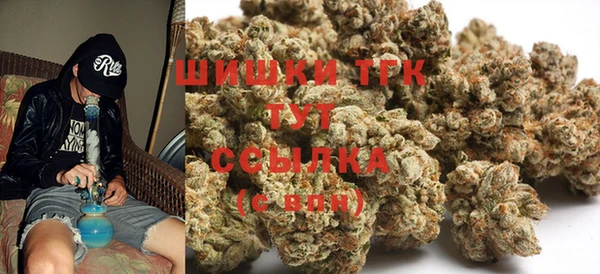 крисы Бородино