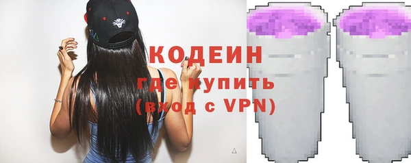 крисы Бородино